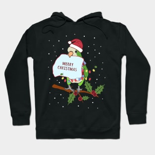 merry christmas! green quaker parrot doodle Hoodie